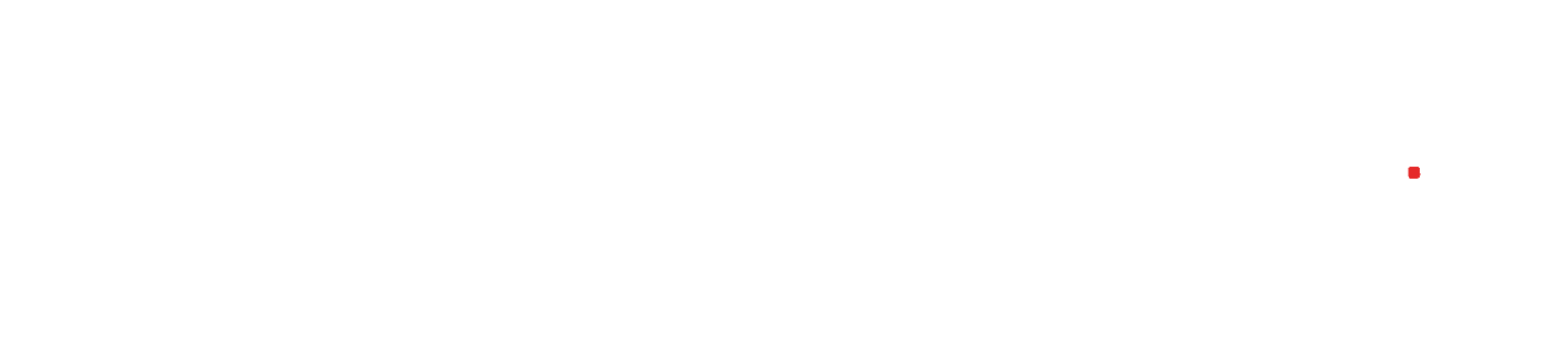 Grupa Importowa logo
